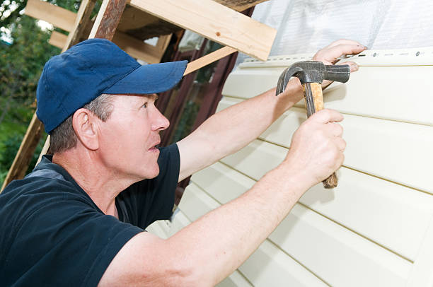 Best Vinyl Siding Installation  in Lucedale, MS