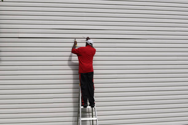 Best Brick Veneer Siding  in Lucedale, MS