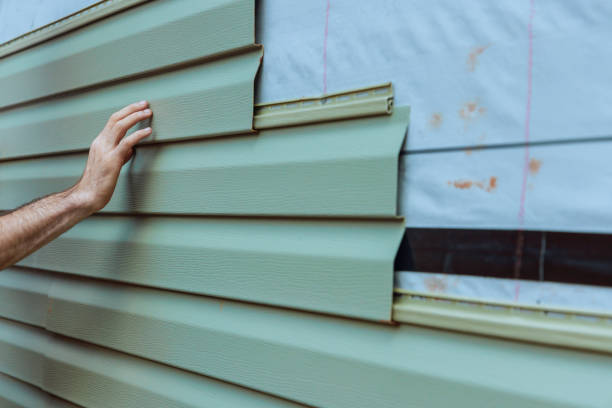 Best Custom Siding Design  in Lucedale, MS